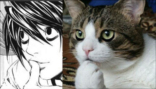 Illustration for article titled Japan's "Totally Looks Like" Meme Is Totally Amusing